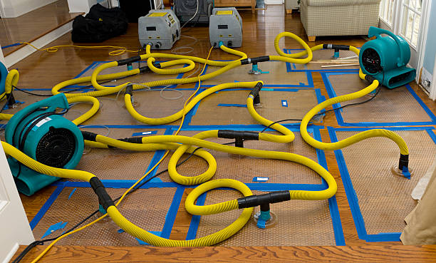 Professional Water Damage Restoration technician working in Vinton, LA